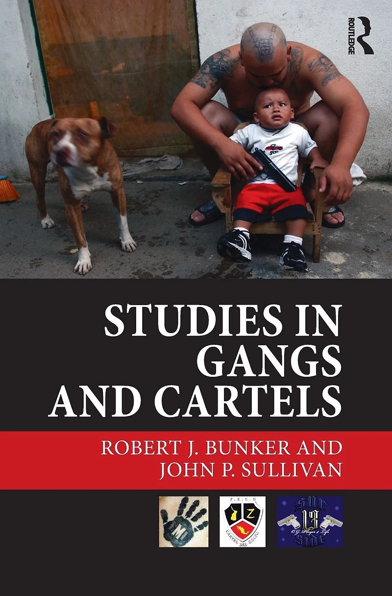 Studies Gangs and Cartels