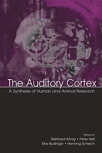 The Auditory Cortex: A Synthesis of Human and Animal Research
