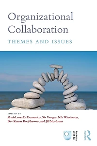 Organizational Collaboration: Themes and Issues