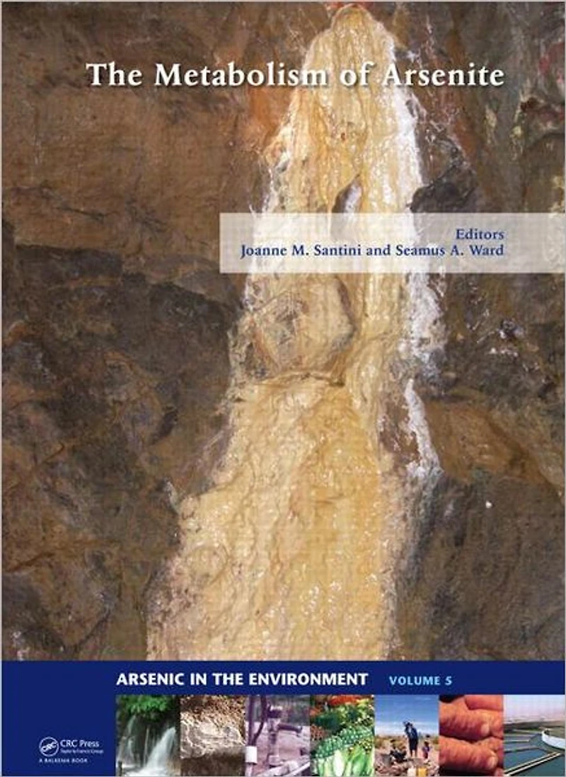 The Metabolism of Arsenite