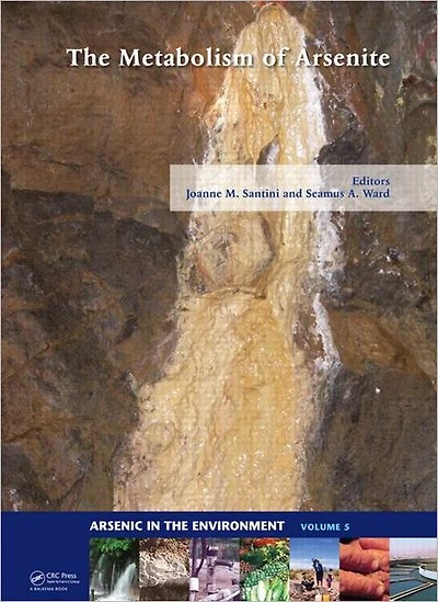 The Metabolism of Arsenite