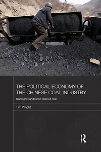 the Political Economy of Chinese Coal Industry: Black Gold and Blood-Stained