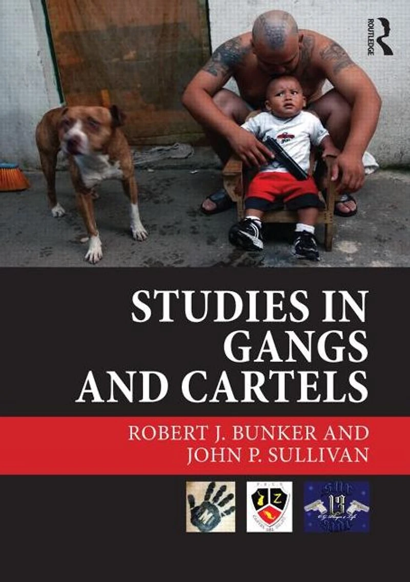 Studies Gangs and Cartels