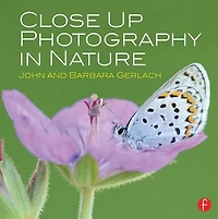 Close Up Photography Nature