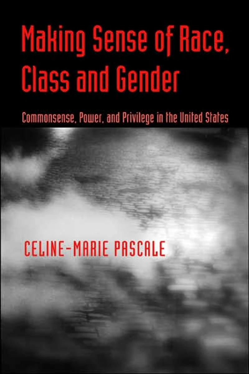 Making Sense of Race, Class, and Gender: Commonsense, Power, Privilege the United States