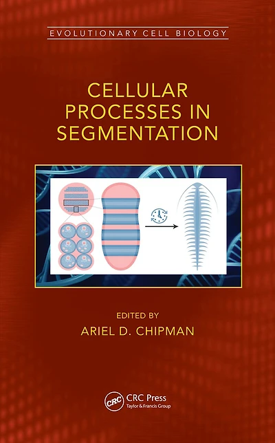 Cellular Processes Segmentation