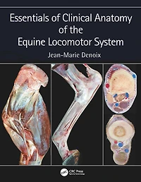 Essentials of Clinical Anatomy the Equine Locomotor System