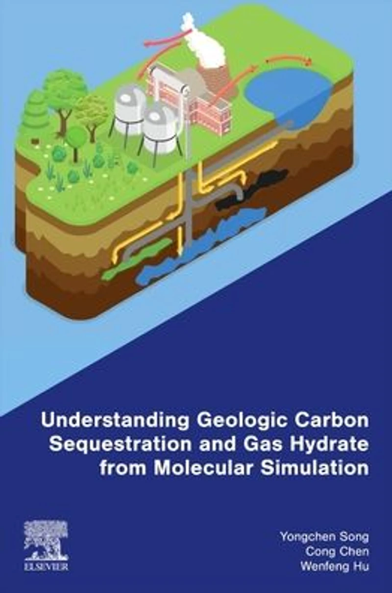 Understanding Geologic Carbon Sequestration and Gas Hydrate from Molecular Simulation