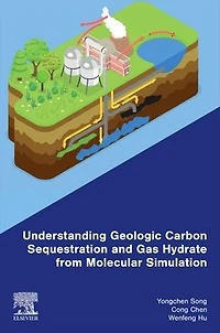 Understanding Geologic Carbon Sequestration and Gas Hydrate from Molecular Simulation