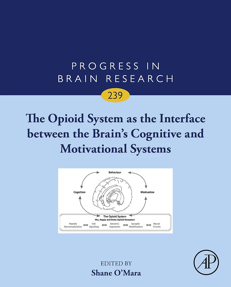 The Opioid System as the Interface between the Brain's Cognitive and Motivational Systems