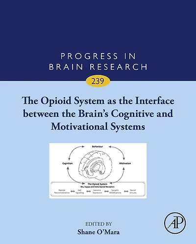 The Opioid System as the Interface between the Brain's Cognitive and Motivational Systems