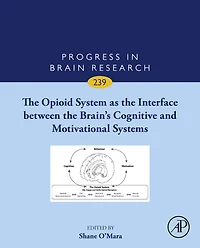 The Opioid System as the Interface between the Brain's Cognitive and Motivational Systems