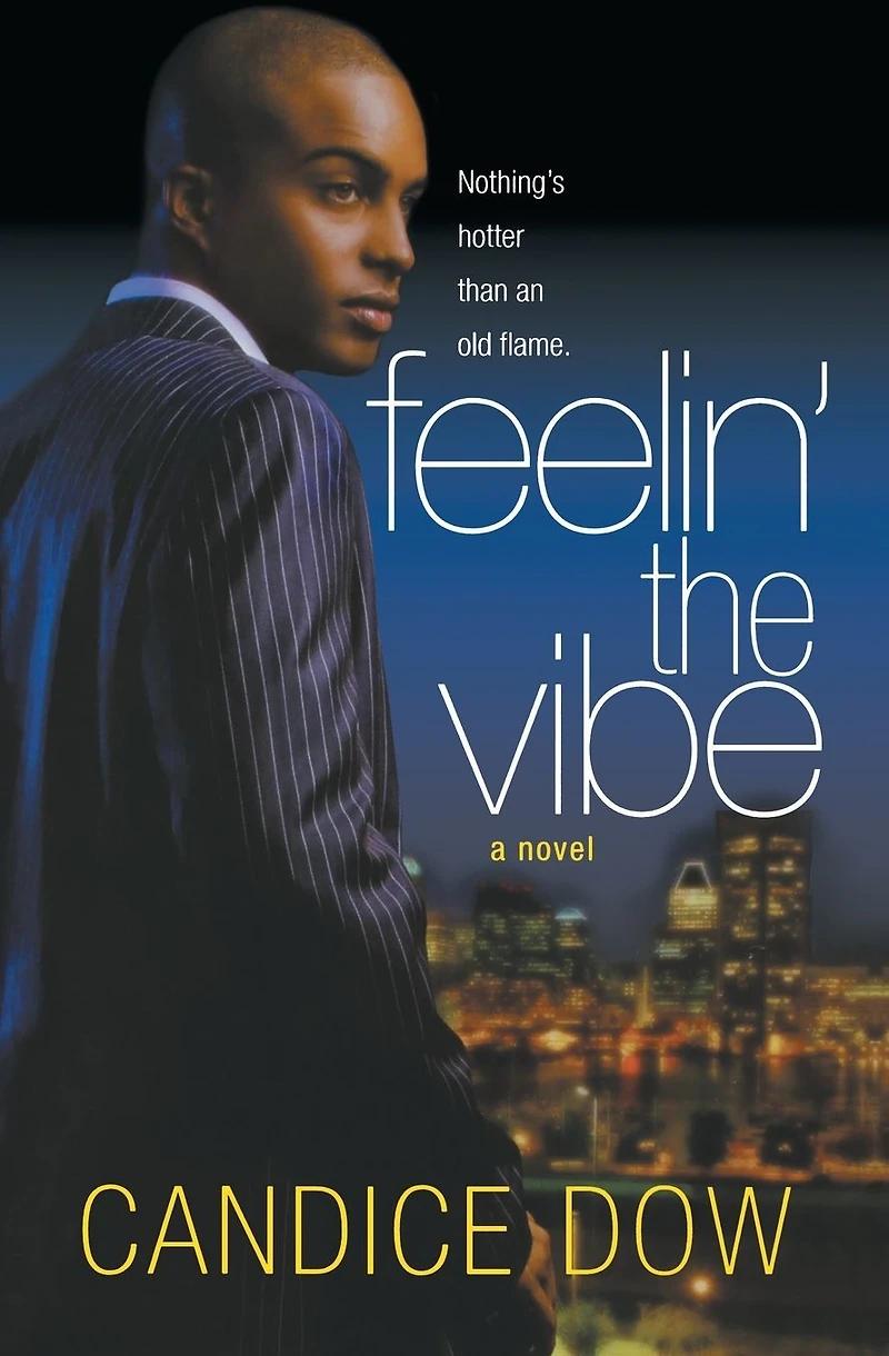 Feelin' the Vibe