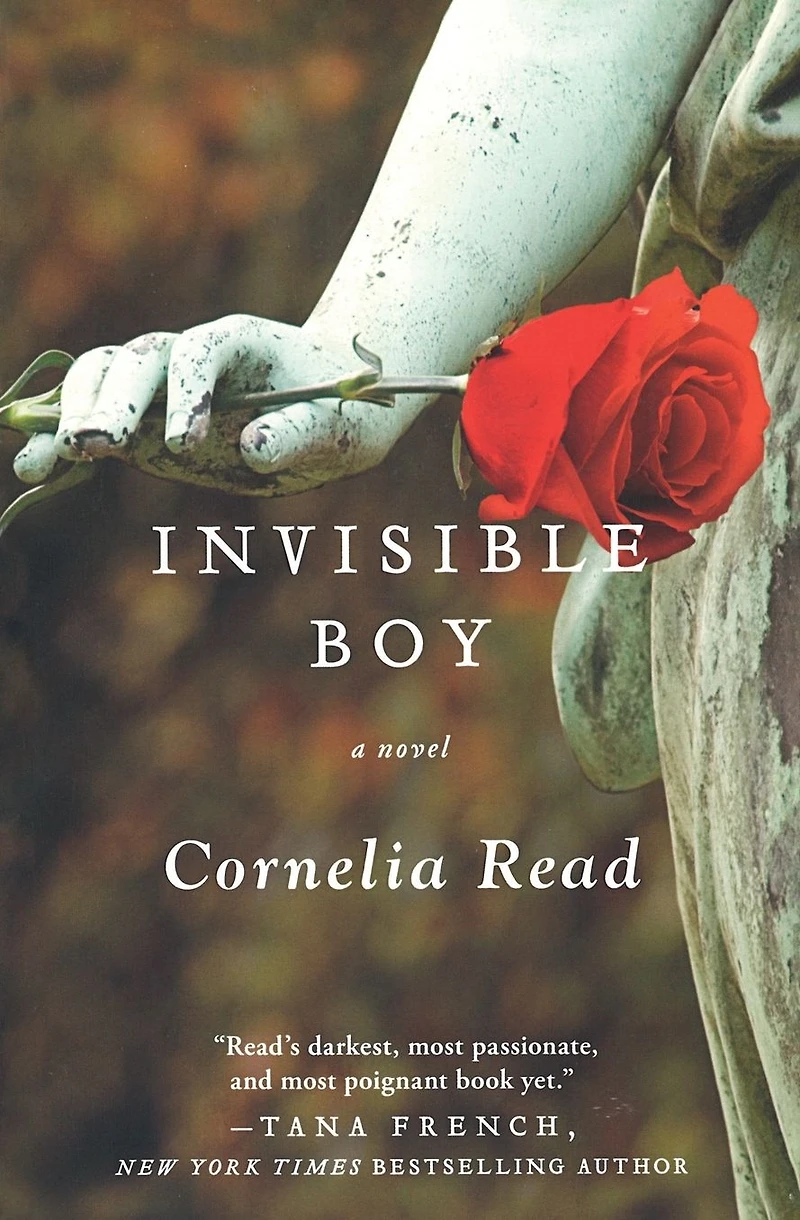 Invisible Boy (Madeline Dare Series #3)