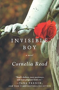 Invisible Boy (Madeline Dare Series #3)
