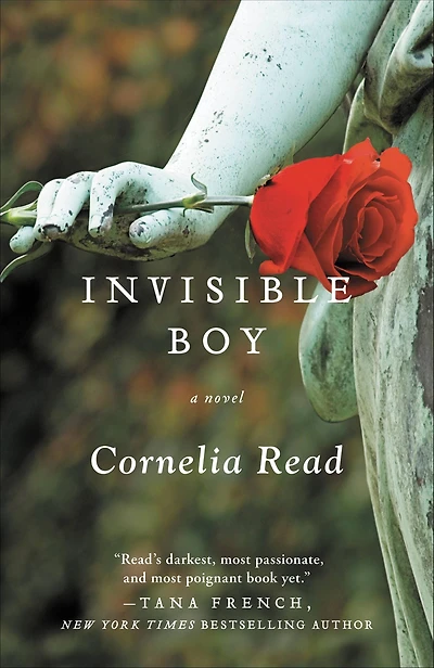 Invisible Boy (Madeline Dare Series #3)