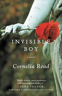 Invisible Boy (Madeline Dare Series #3)
