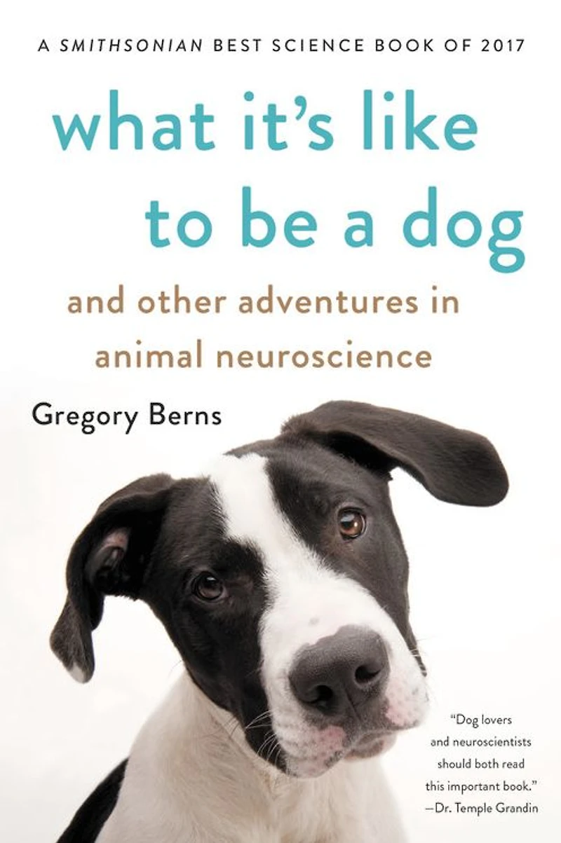What It's Like to Be a Dog: And Other Adventures Animal Neuroscience