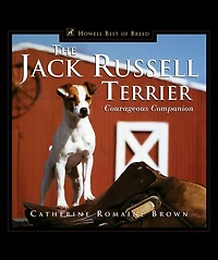 The Jack Russell Terrier: Courageous Companion