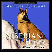 The Siberian Husky: Able Athlete, Friend