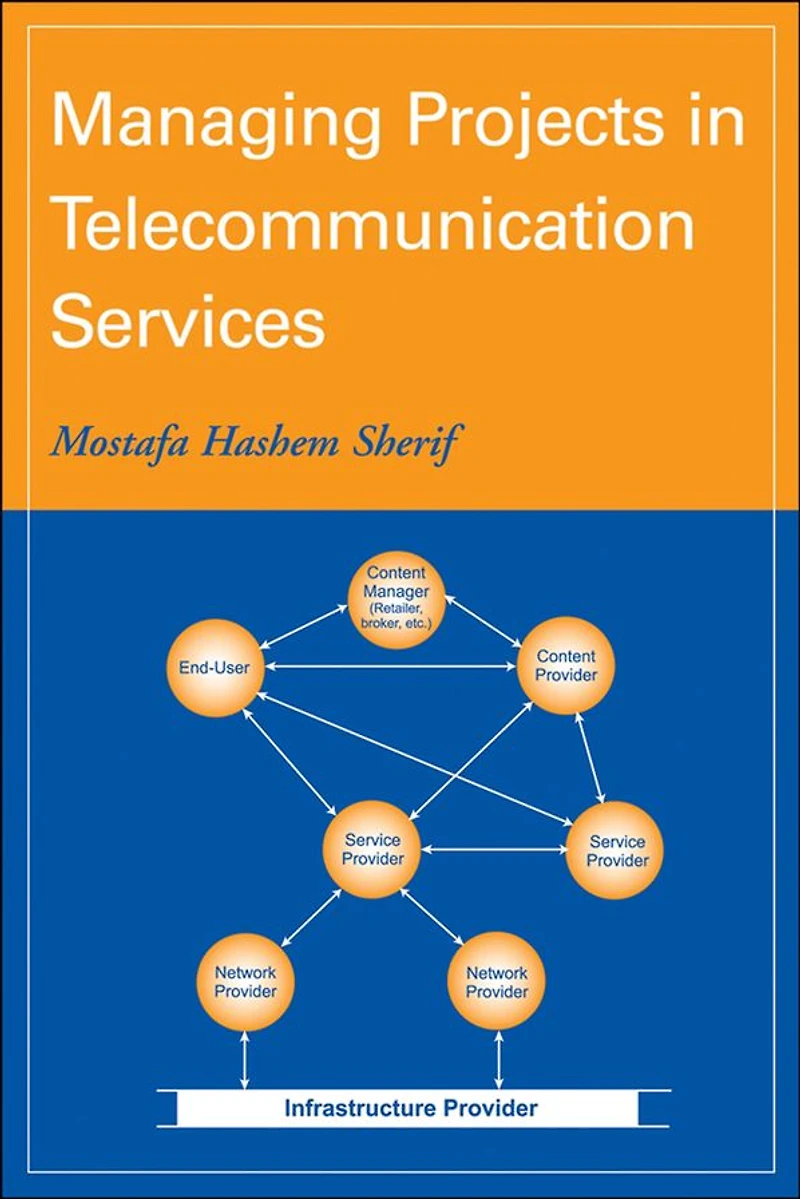 Managing Projects in Telecommunication Services