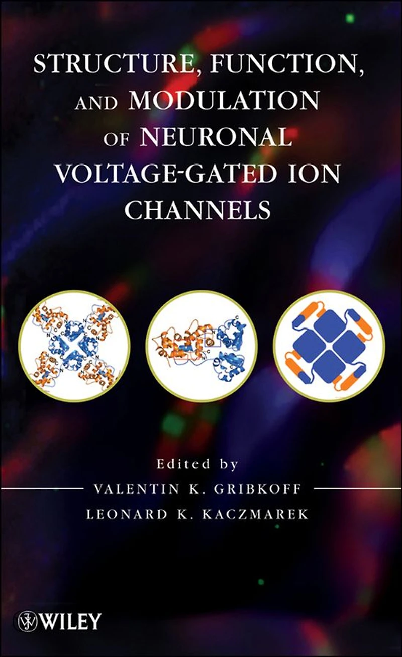 Structure, Function, and Modulation of Neuronal Voltage-Gated Ion Channels