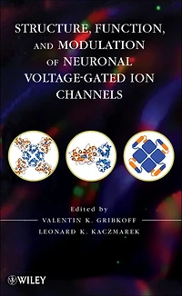 Structure, Function, and Modulation of Neuronal Voltage-Gated Ion Channels