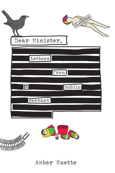 Dear Minister, Letters from a Public Servant