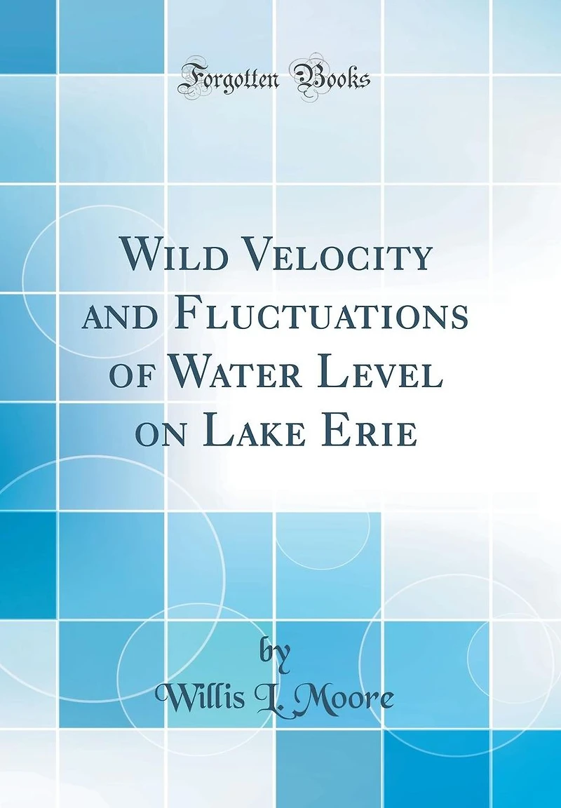 Wild Velocity and Fluctuations of Water Level on Lake Erie (Classic Reprint)