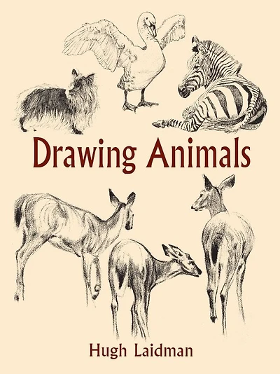 Drawing Animals
