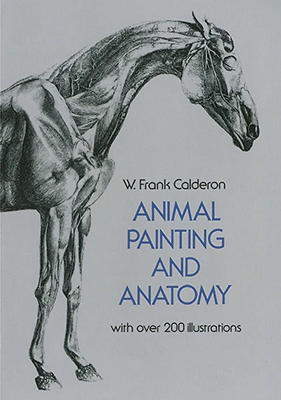 Animal Painting and Anatomy