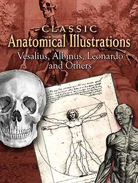 Classic Anatomical Illustrations