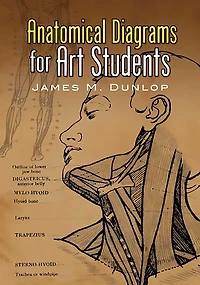 Anatomical Diagrams for Art Students