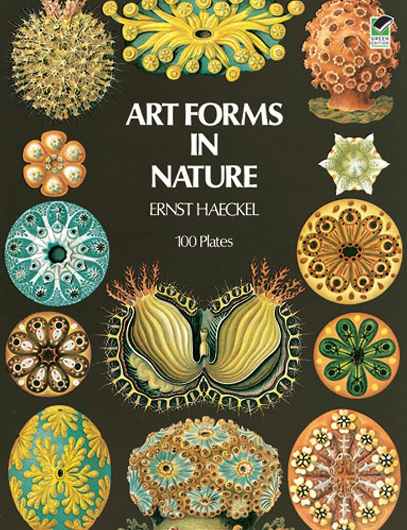 Art Forms Nature
