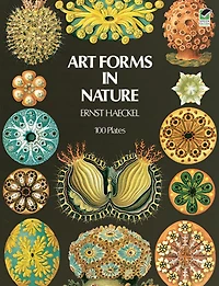 Art Forms Nature