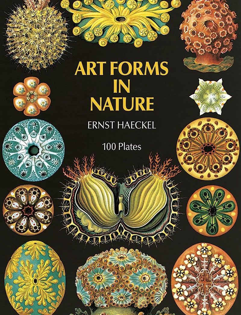 Art Forms Nature