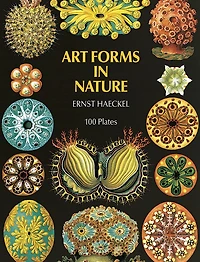 Art Forms Nature