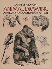 Animal Drawing: Anatomy and Action for Artists