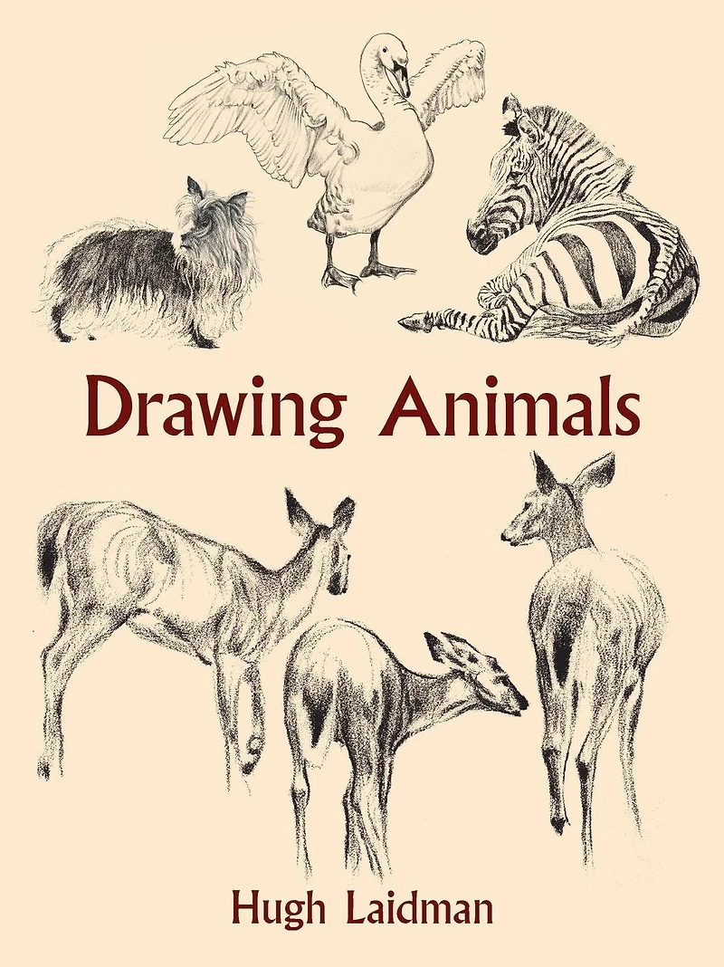 Drawing Animals