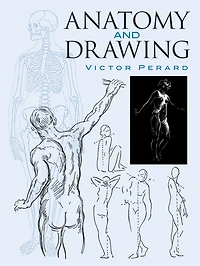 Anatomy and Drawing