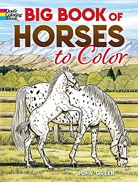 Big Book of Horses to Color