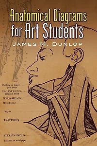 Anatomical Diagrams for Art Students
