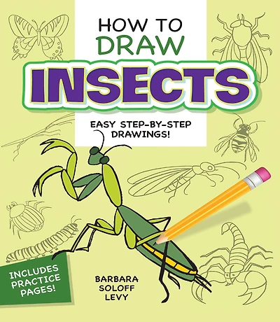 How to Draw Insects: Step-by-Step Drawings!