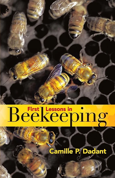 First Lessons Beekeeping