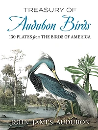 Treasury of Audubon Birds: 130 Plates from The Birds America