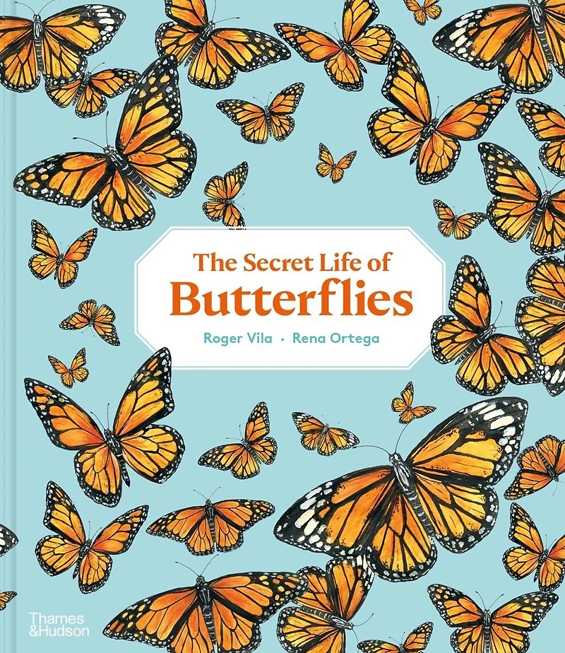 The Secret Life of Butterflies