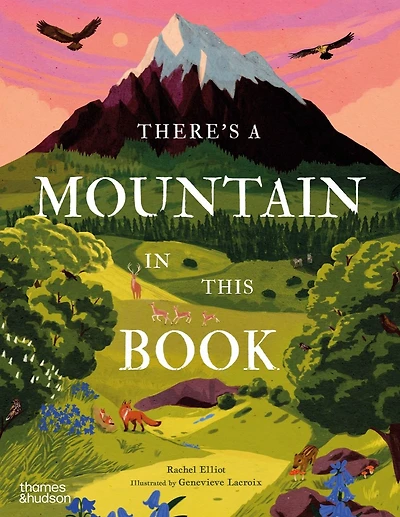 There's a Mountain in This Book