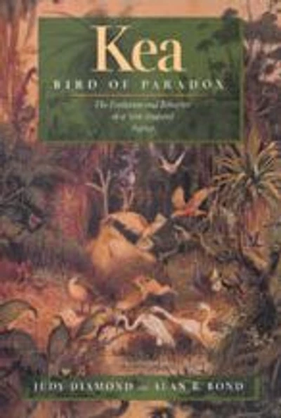 Kea, Bird of Paradox: The Evolution and Behavior of a New Zealand Parrot