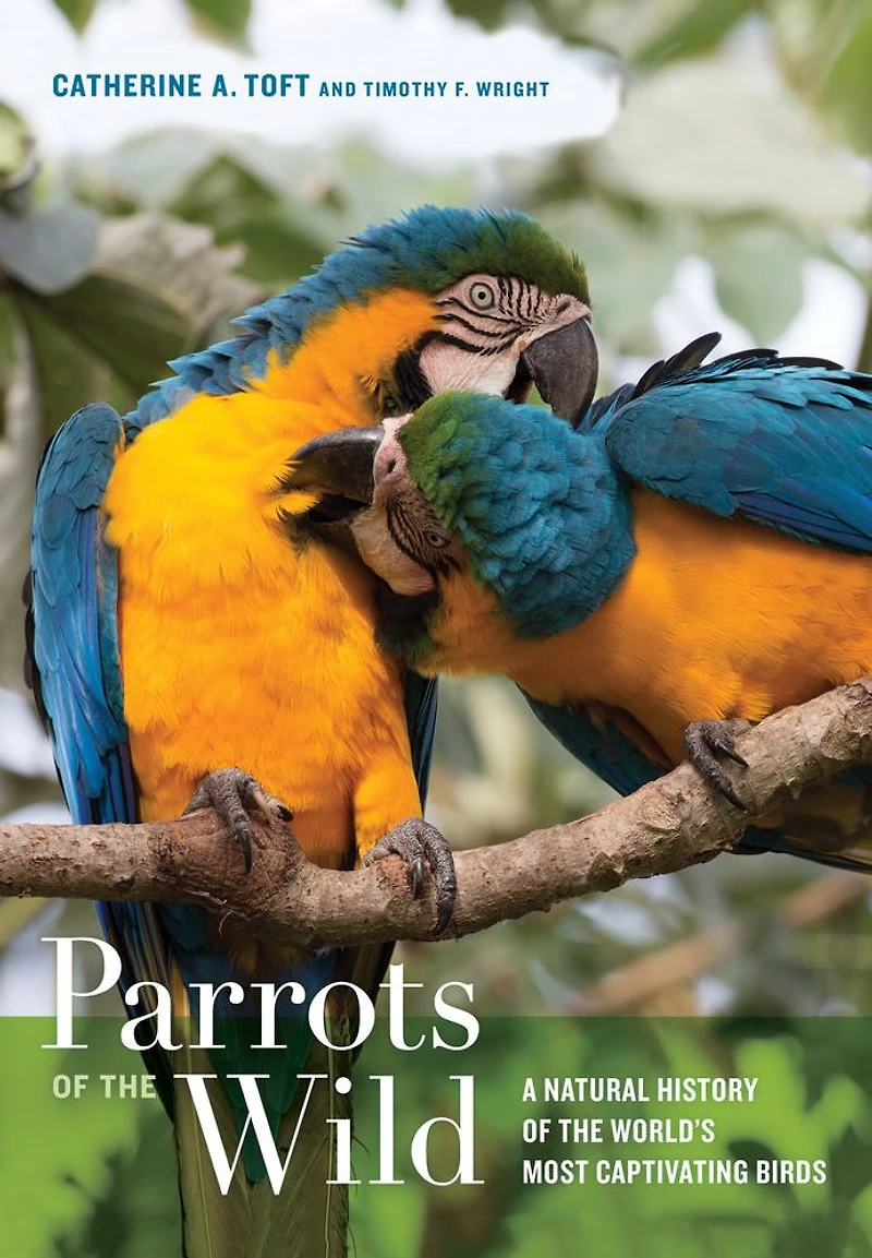 Parrots of the Wild: A Natural History World's Most Captivating Birds