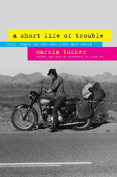 A Short Life of Trouble: Forty Years the New York Art World